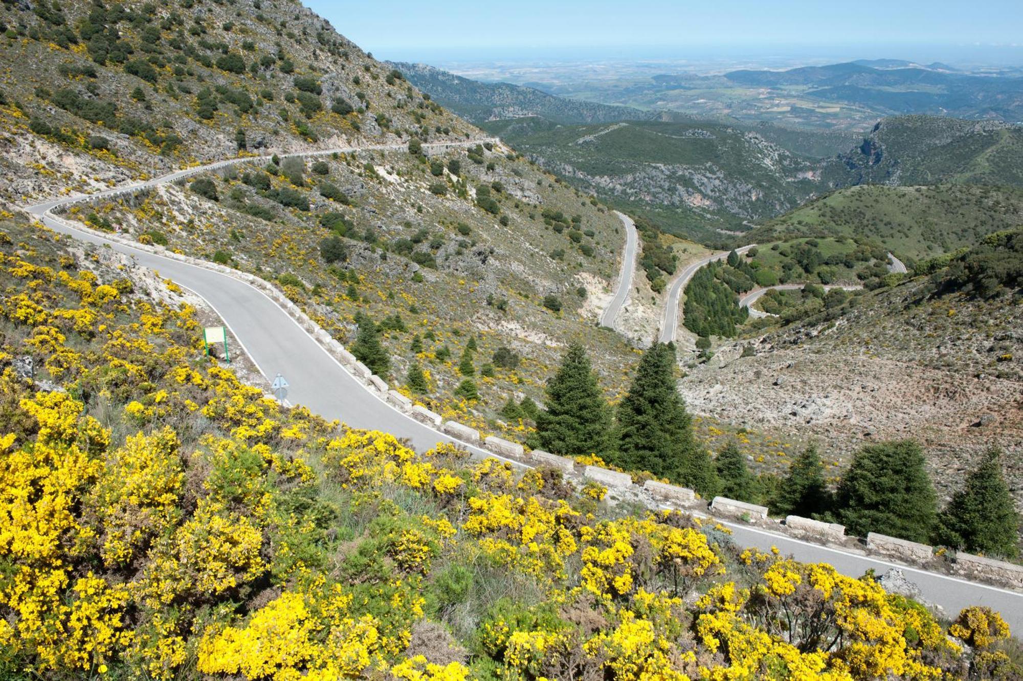 Al Lago Zahara De La Sierra Extérieur photo